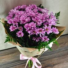 Букет цветов из:  Хризантемы #REPLACE_PRED# Локомотивный