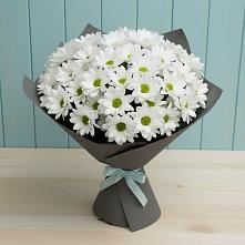 Букет цветов из:  Хризантемы в Локомотивный