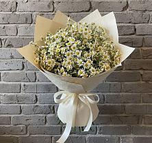 Букет цветов из:  Ромашки #REPLACE_PRED# Локомотивный