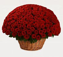 Премиум букет из: Розы в Локомотивный