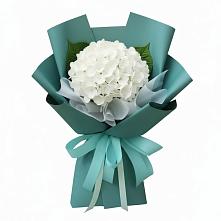 Букет цветов из:  Гортензия в Локомотивный